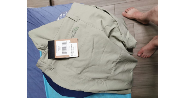 The North Face mens project pants