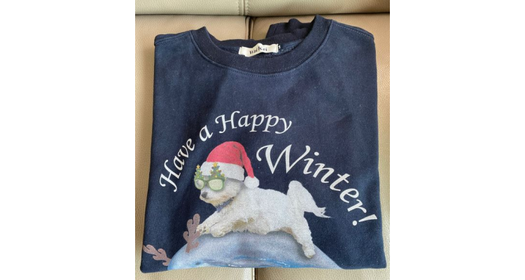 韩国Wai Kei-Christmas puppy dolphin jumping sweatshirts