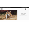 UGG Australia 全场额外9折