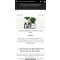 L'Artisan Parfumeur特价
