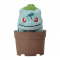 日本Pokémon Center 宠物小精灵精品