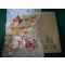 名古屋什锦虾片$68.1 自己订好抵！