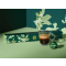 Nespresso 咖啡胶囊优惠