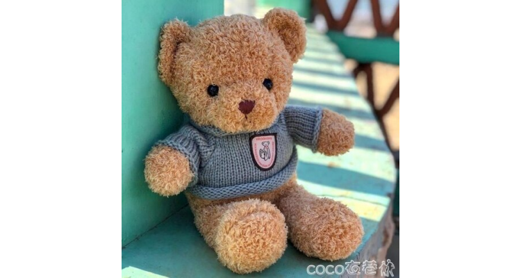 公仔泰迪熊毛绒玩具抱抱熊布娃娃小熊公仔大号女友生日礼物抱枕