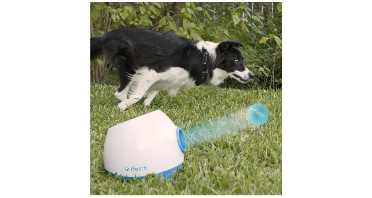 iFetch Too Ball Launche