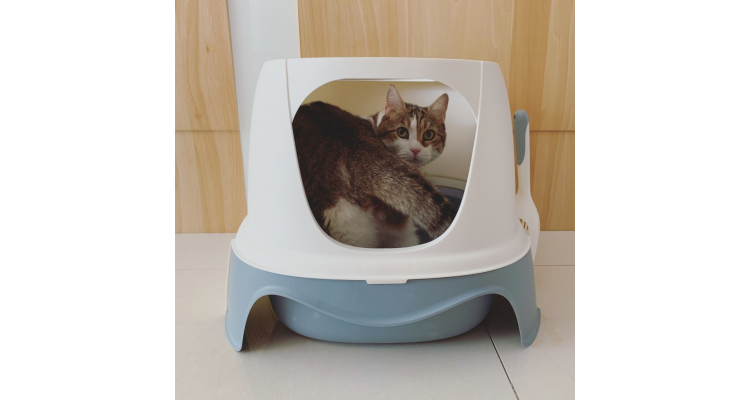 猫砂盆
