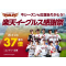 乐天eagles 感谢祭