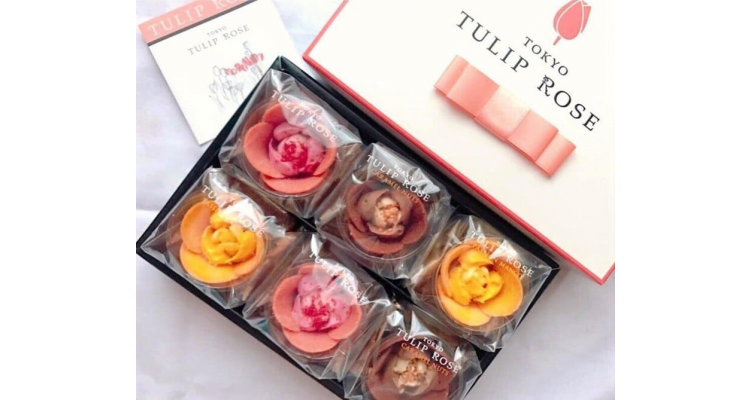 TULIP ROSE 6个入