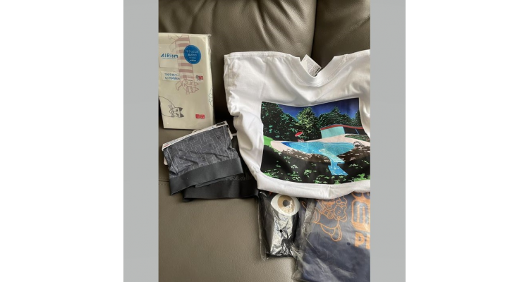 Uniqlo x lisa larson 枕头袋 , UT