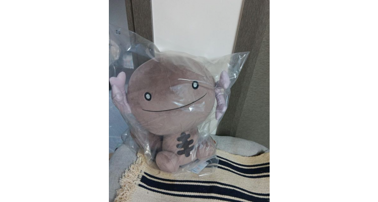 日本Amazon-Pokemon帕底亚乌波大公仔
