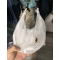 日本Amazon-SHIPS any COBMASTER 739530010 BANANA Shoulder Bag