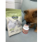 日本乐天-Premeal猫犬用保护牙齿乳酸菌保健片300粒