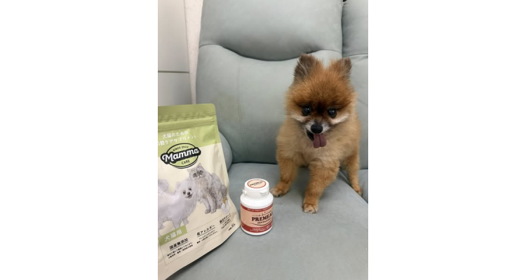 日本乐天-Premeal猫犬用保护牙齿乳酸菌保健片300粒