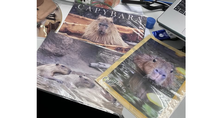 日本kobe-oukoku-raku-uru - 2026 水豚月历，水豚A4文件夹