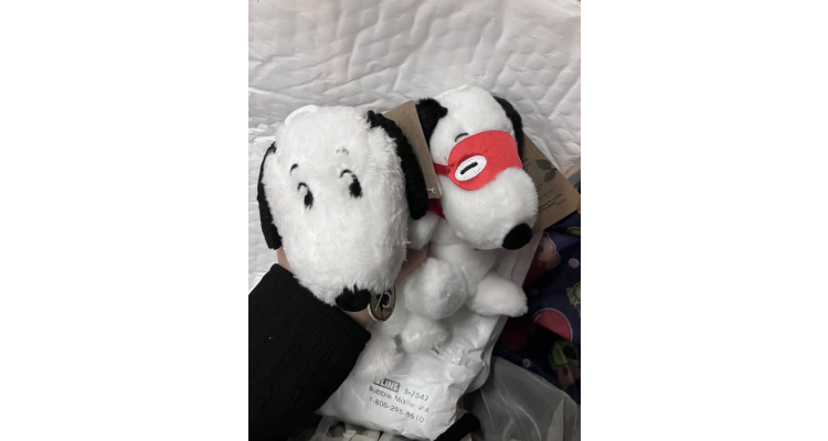 美国AMAZON - Aurora® Timeless Peanuts® Palm Pals™ Snoopy